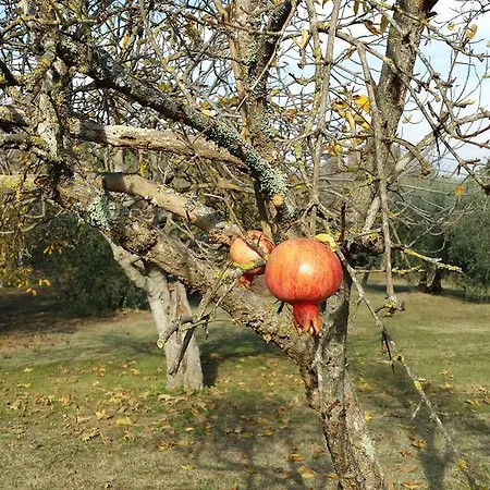 Al Vecchio Fienile Lucignano